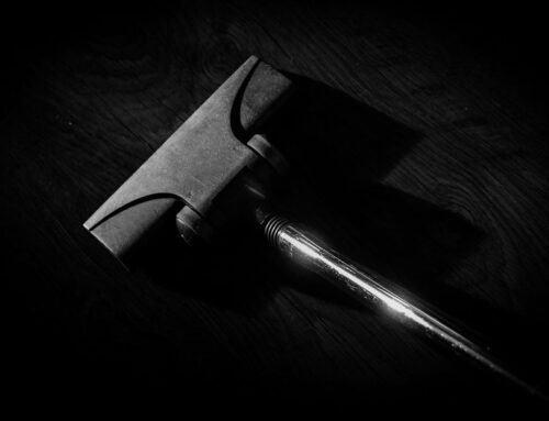 The Secret, Anxious Life of My Pet (and Probably Yours, Too)