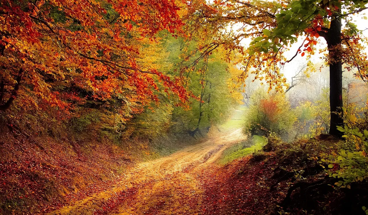 fall-foliage-road-trip-New-York-Catskills