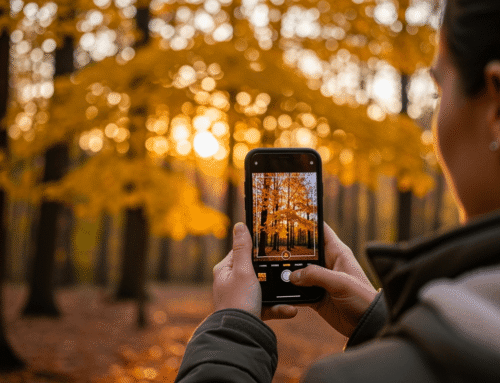 Did You Actually See It? Or Just Instagram It?